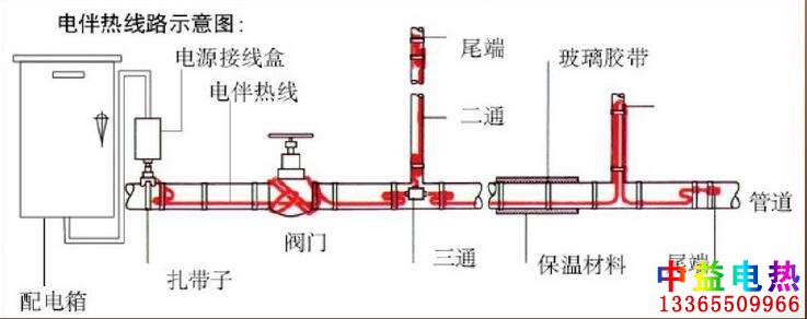 草莓福利视频系统图